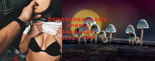 мдпв Красноперекопск