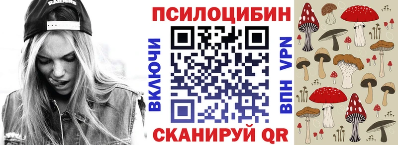 Купить закладки  Краснозаводск  Псилоцибиновые грибы ЛСД 